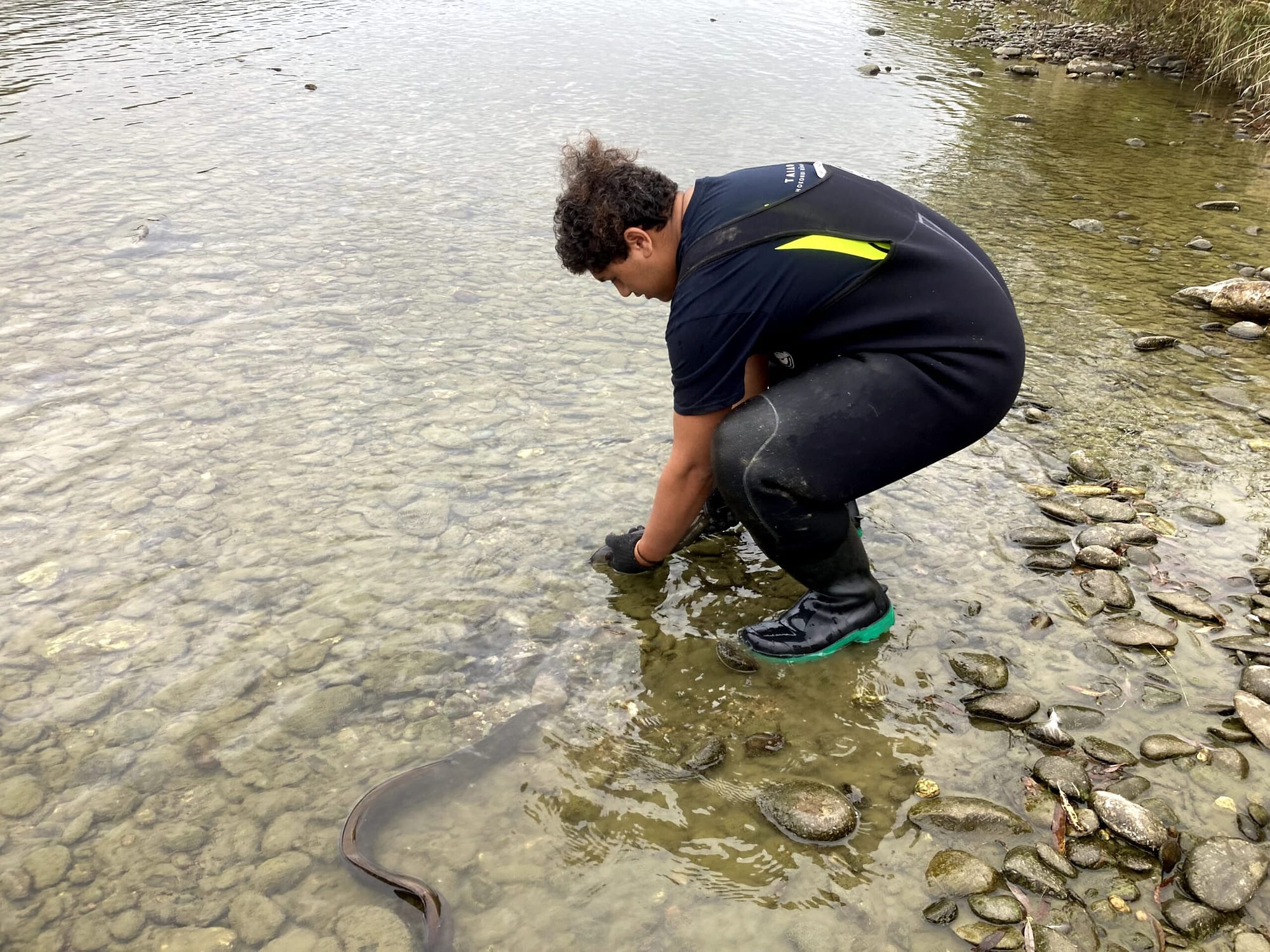 Kaloni Taylor releasing tuna after surveying.