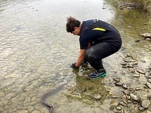 Kaloni Taylor releasing tuna after surveying.