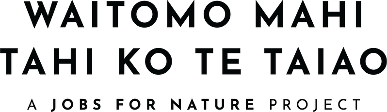 LINZ Jobs For Nature Logo