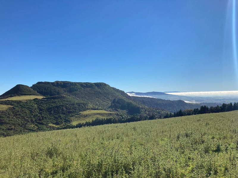 Hokonui Hills - Site Visit (14 Jan 2022) (5)